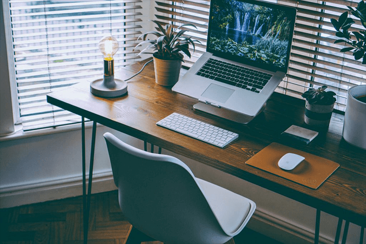 wooden desk with macbook and plants