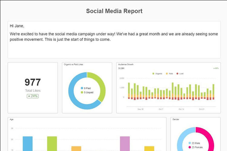 social media dashboard for repoting